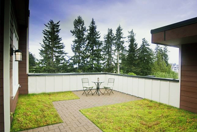 green roof maintenance
