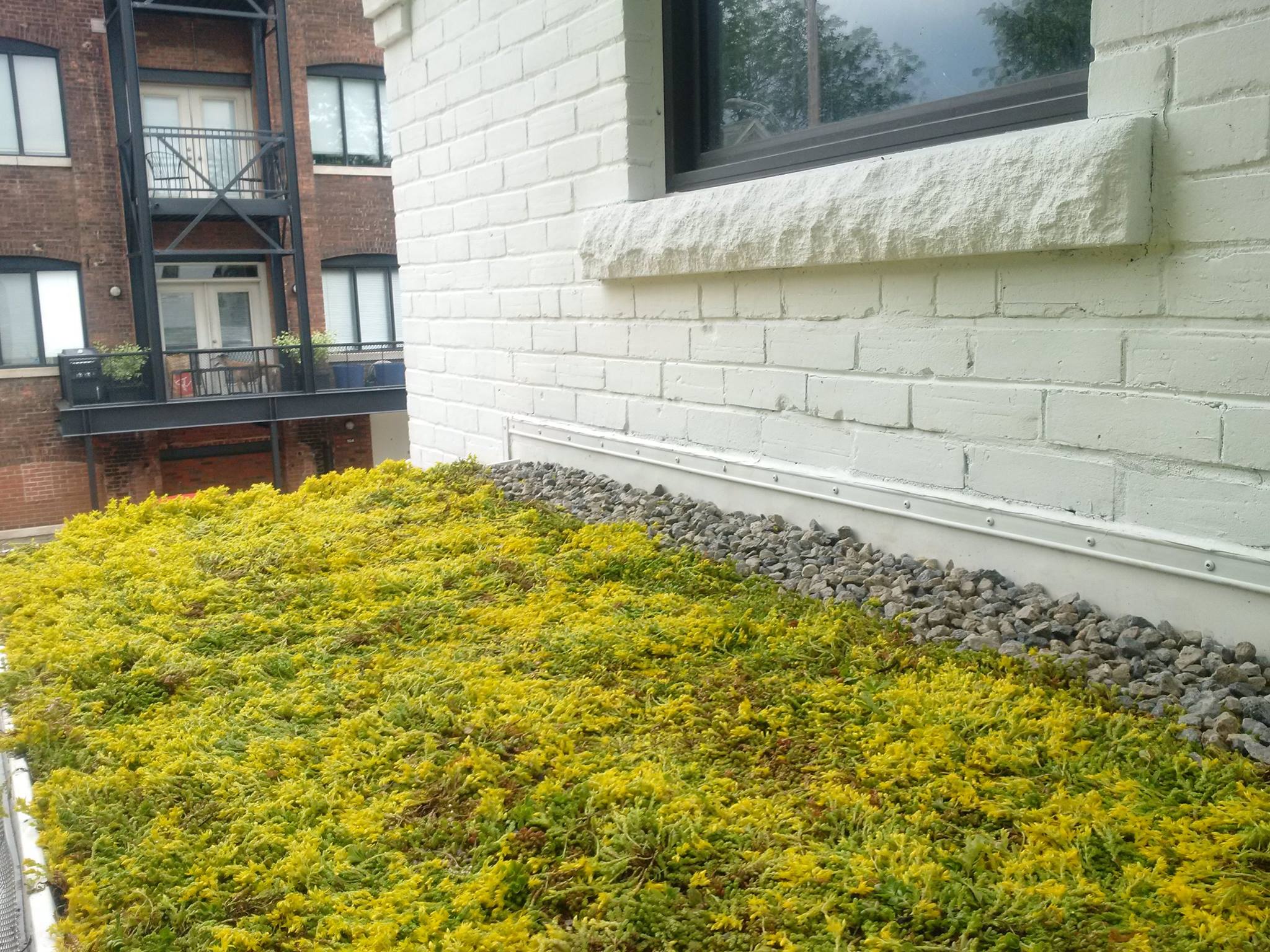 green roof design toronto