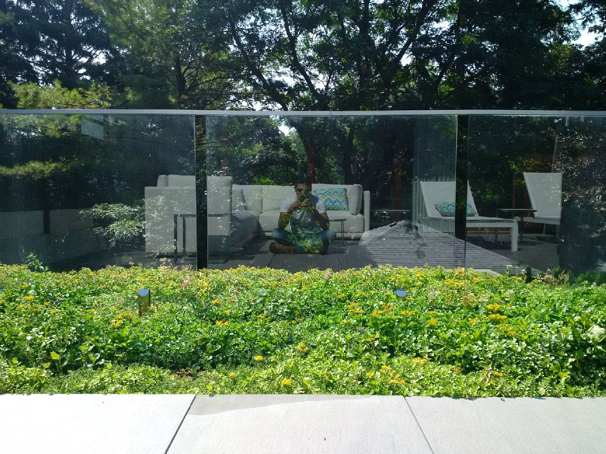 skyspace green roofs at work