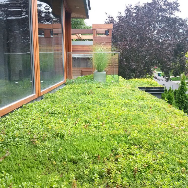 Green Roof Heat Island Effect