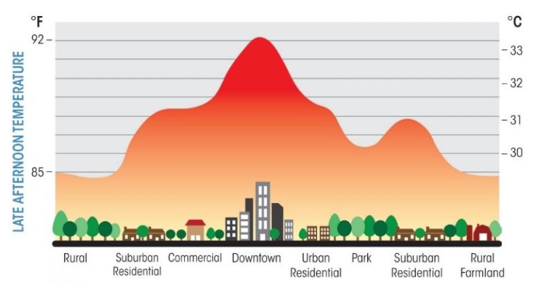 How Green Roofs Can Help Mitigate the Urban Heat Island Effect in Cities