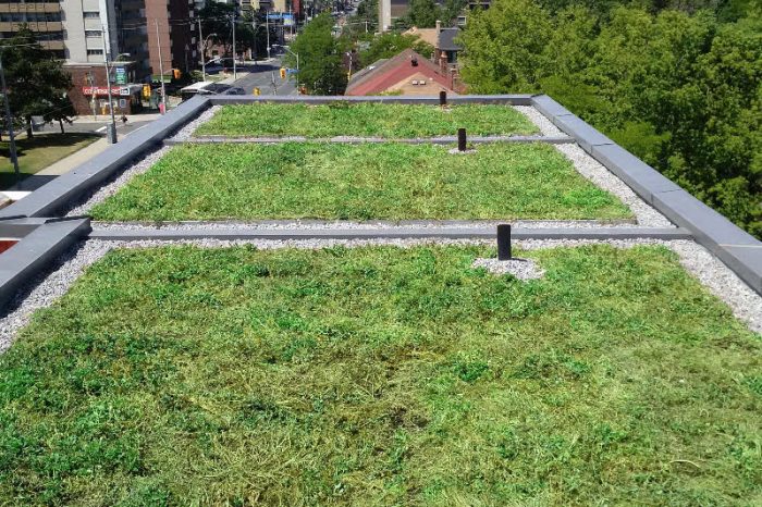 toronto green roofs
