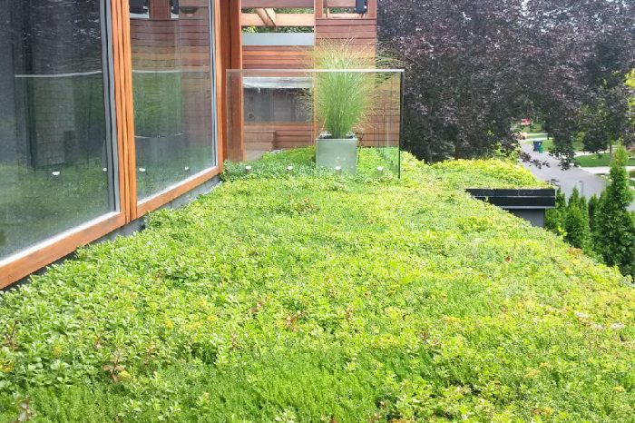 green roofs toronto